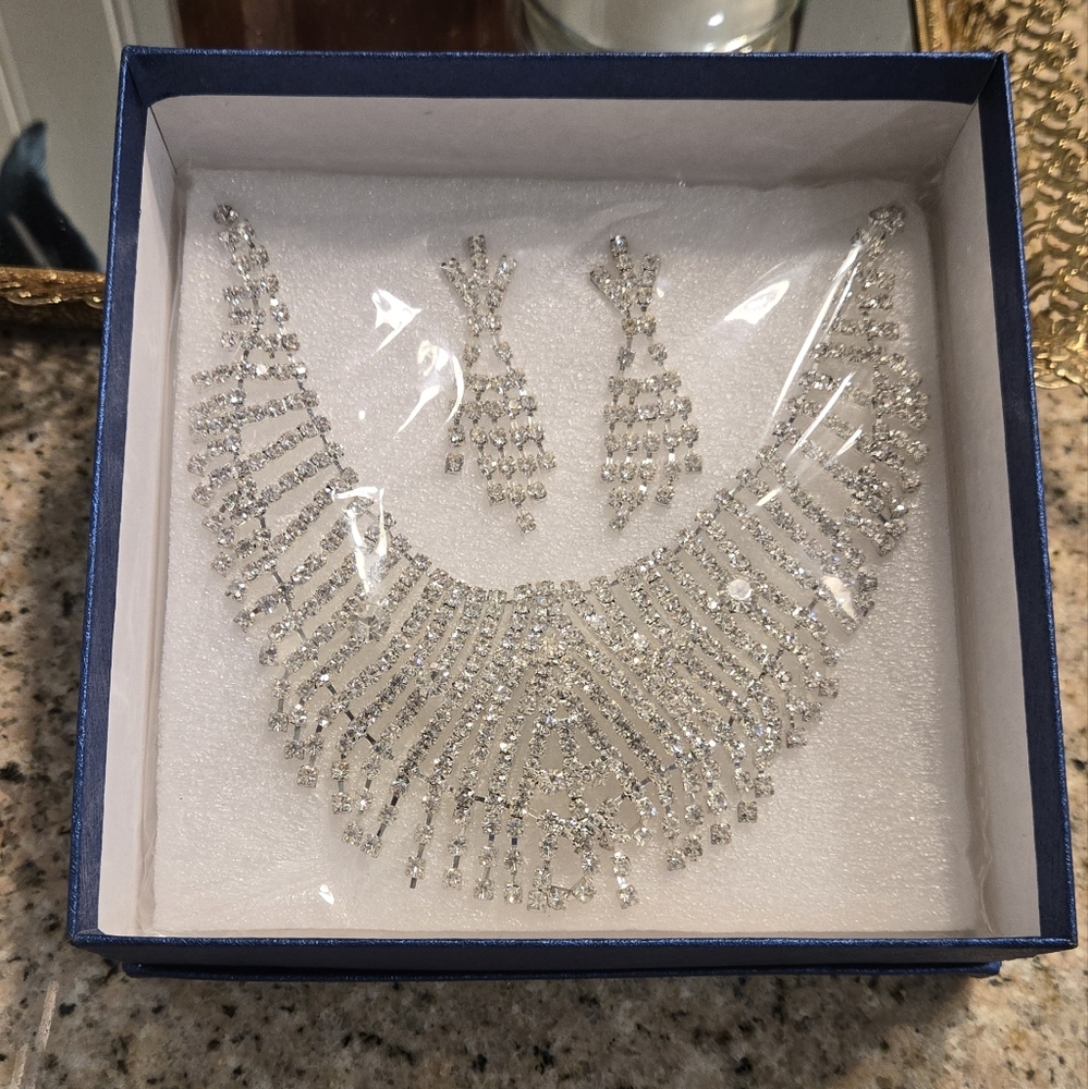 Radiant Silver Necklace and Earring Set - Picture 7 of 8